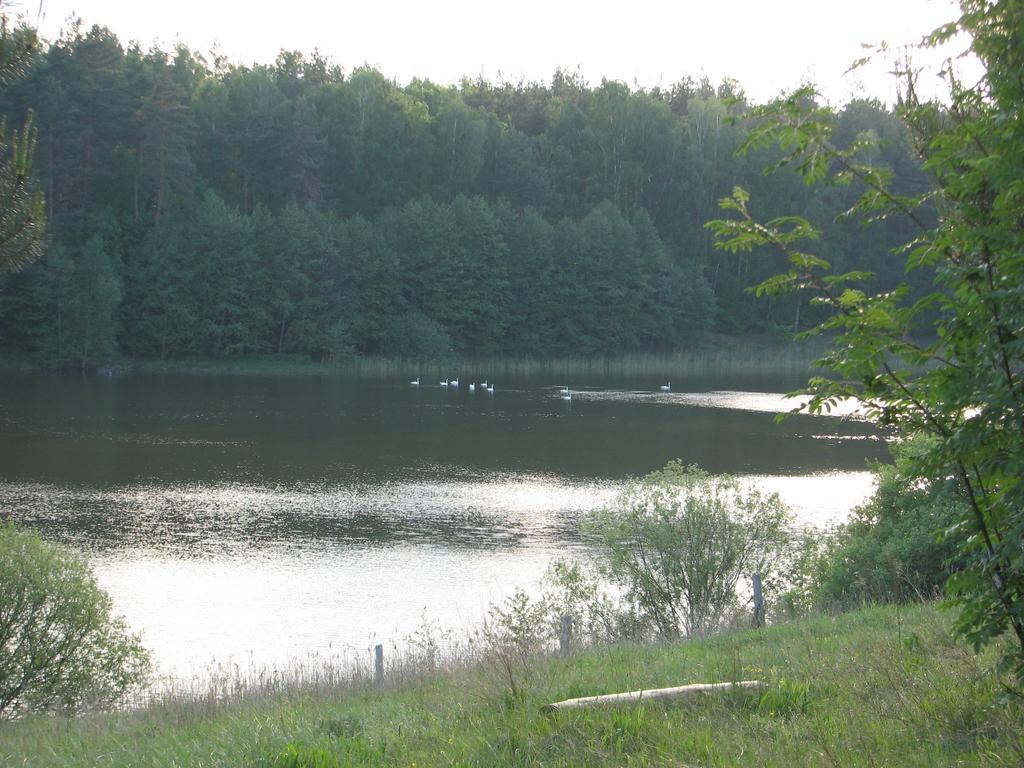 Za Piecem Villa Guzowy Piec Exterior photo